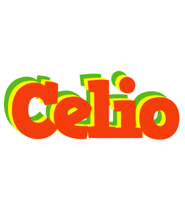 Celio bbq logo