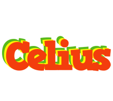 Celius bbq logo