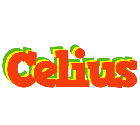 Celius bbq logo