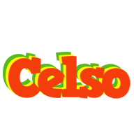 Celso bbq logo