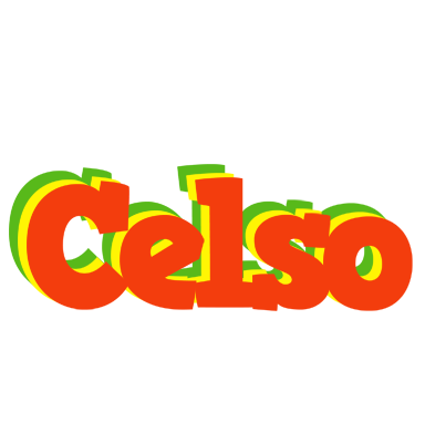 Celso bbq logo