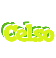 Celso citrus logo