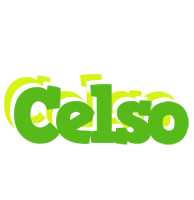 Celso picnic logo