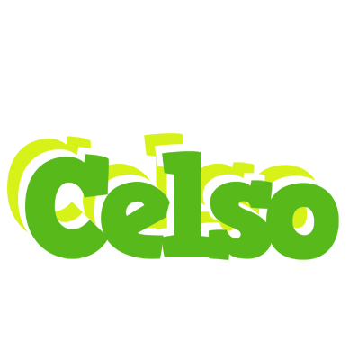 Celso picnic logo