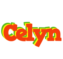 Celyn bbq logo