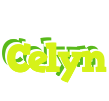 Celyn citrus logo