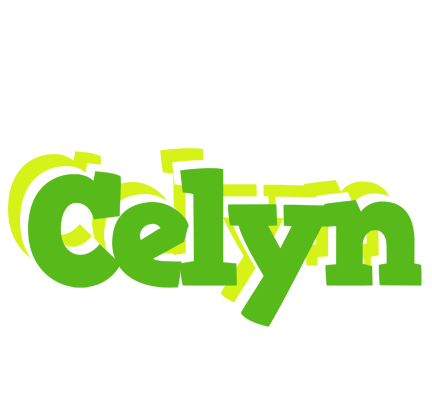 Celyn picnic logo