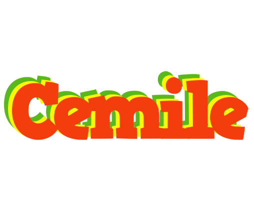 Cemile bbq logo