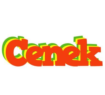 Cenek bbq logo