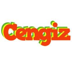 Cengiz bbq logo