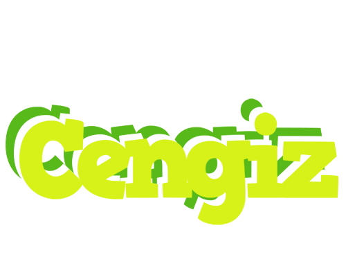 Cengiz citrus logo
