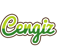 Cengiz golfing logo