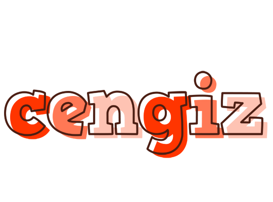 Cengiz paint logo