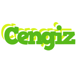 Cengiz picnic logo