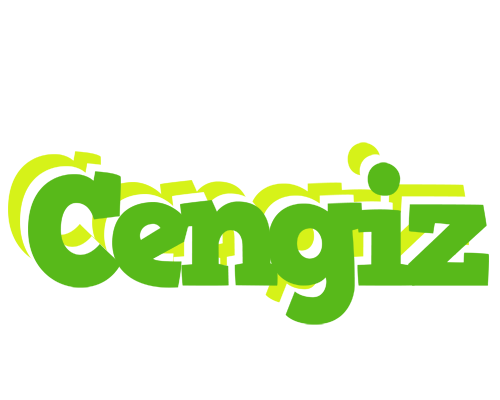Cengiz picnic logo