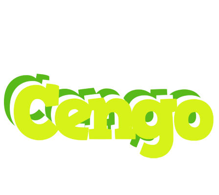 Cengo citrus logo