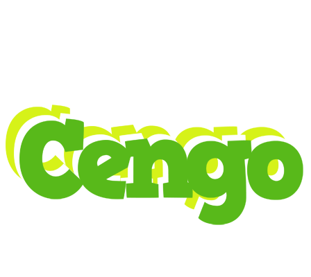 Cengo picnic logo