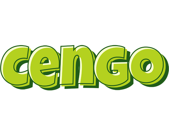 Cengo summer logo