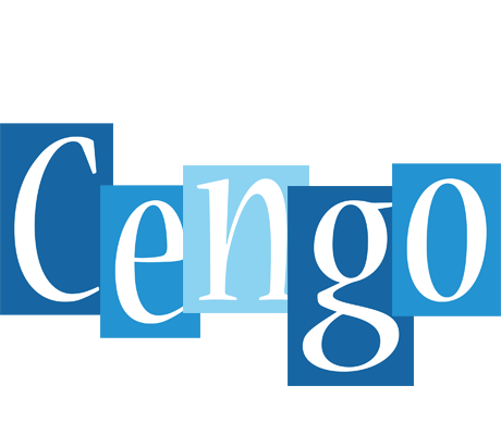 Cengo winter logo