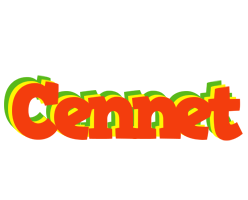 Cennet bbq logo