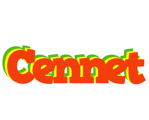 Cennet bbq logo