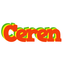 Ceren bbq logo