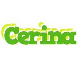 Cerina picnic logo