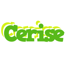 Cerise picnic logo