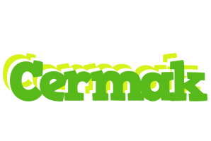 Cermak picnic logo