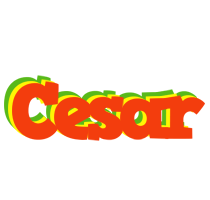 Cesar bbq logo