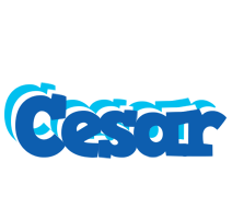 Cesar business logo