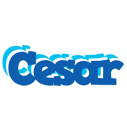 Cesar business logo