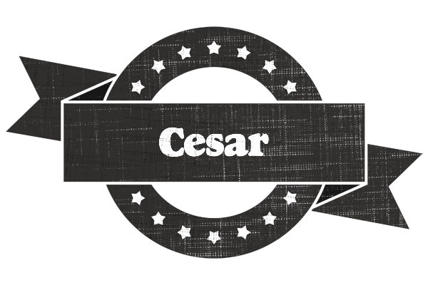 Cesar grunge logo