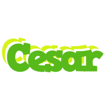 Cesar picnic logo