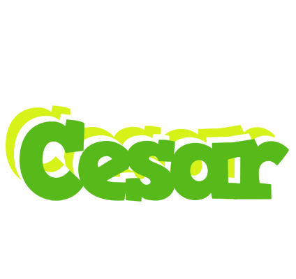 Cesar picnic logo