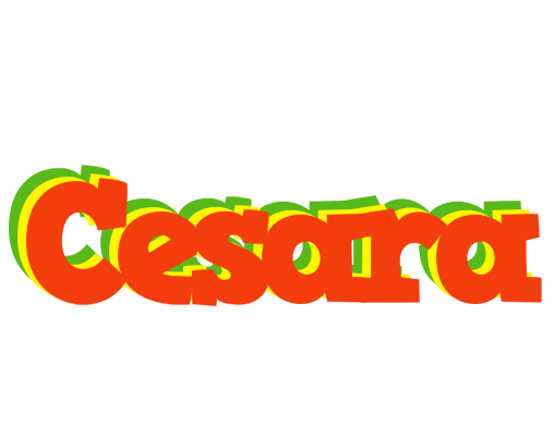Cesara bbq logo