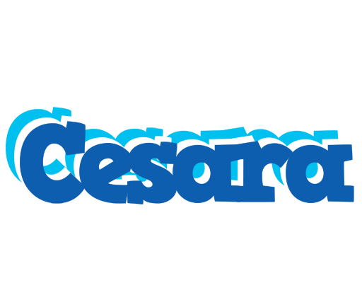 Cesara business logo