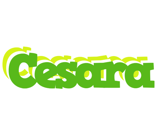 Cesara picnic logo