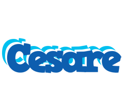 Cesare business logo