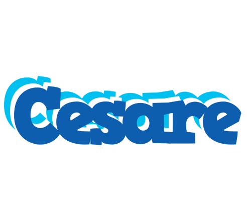 Cesare business logo