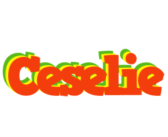 Ceselie bbq logo