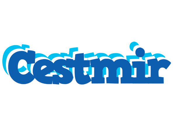 Cestmir business logo