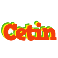 Cetin bbq logo