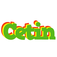 Cetin crocodile logo