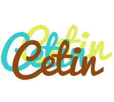 Cetin cupcake logo