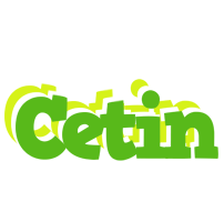 Cetin picnic logo