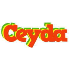 Ceyda bbq logo