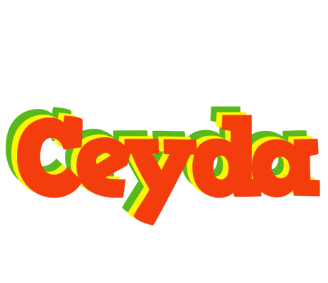 Ceyda bbq logo