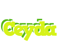 Ceyda citrus logo