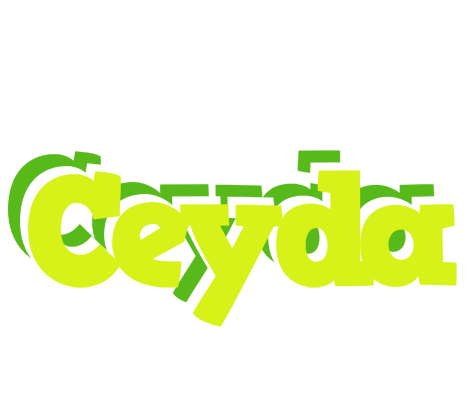 Ceyda citrus logo